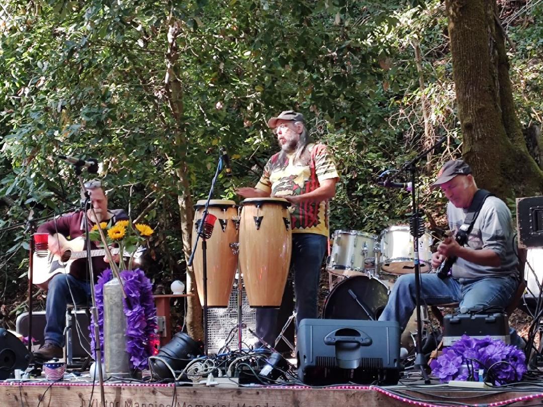 The four members of This Close! together in the redwoods